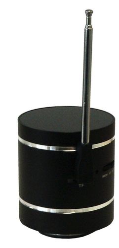 Ferguson Vibro Radio na Arena.pl