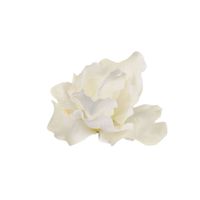 Irys wyrobowy kremowy 12 szt