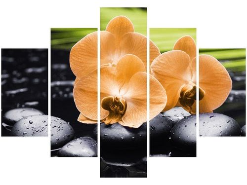 105CM 150CM OBRAZ 5 ELEM STORCZYK POMARAŃCZOWY DRUK na Arena.pl