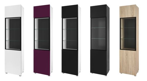 Meble GORDIA Witryna GWIT1D połysk na Arena.pl