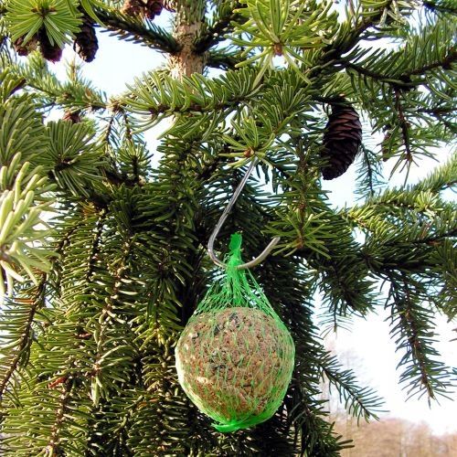 Kule Pyzy Tłuszczowe Pokarm Zimowy dla Dzikich Ptaków 100szt ZESTAW na Arena.pl