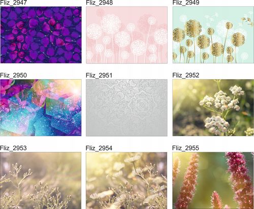 FOTOTAPETY ROŚLINY Kwiaty natura do Salonu Pokoju na Arena.pl