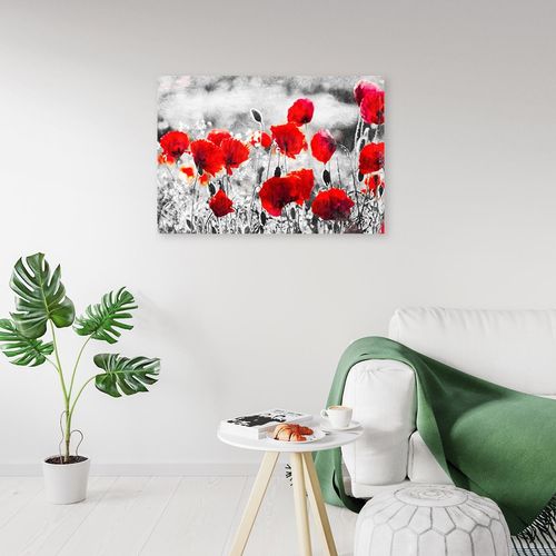Obraz na płótnie – Canvas, Czerwone maki 90x60 na Arena.pl