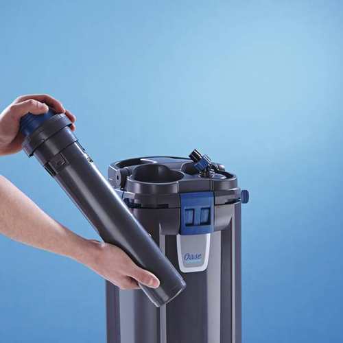 Oase BioMaster 350 na Arena.pl