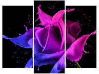 60 90CM OBRAZ 3 ELEM RÓŻA FARB JAKUB BANAŚ ŚCIENNY DRUK PŁÓTNO