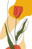 Plakat 53x81cm Przerysowany Tulipan