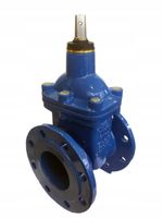 Zasuwa klinowa EcoValve do wody, kołnierzowa DN65, PN16, krótka F4, miękkou