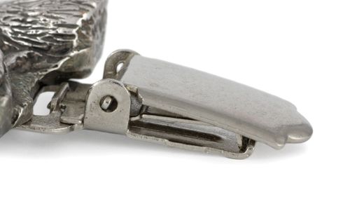 Bedlington Terrier - klips - 2570 na Arena.pl