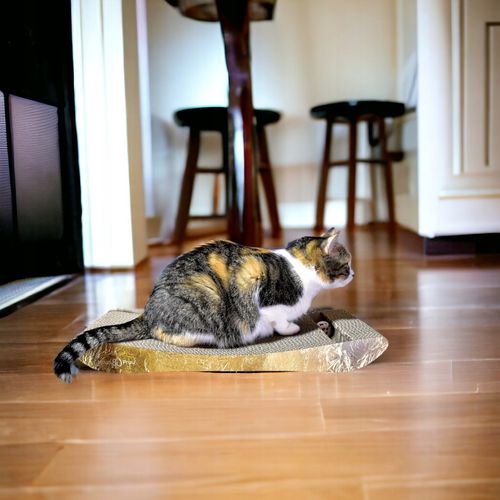 Drapak dla kota NATAN  | złoty | 58x6.6x24 cm | MruuPruu na Arena.pl