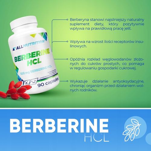 Allnutrition Berberine HCL 90 kap. na Arena.pl