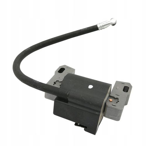 Cewka iskrownik Briggs Stratton 790817 843931 na Arena.pl