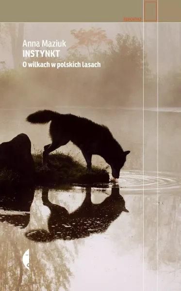 Instynkt. O wilkach w polskich lasach zdjęcie 1