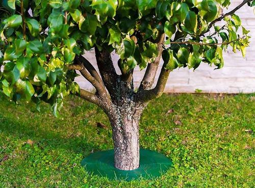 Ochraniacz drzewa TreeGuard 115mm na Arena.pl