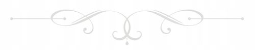 fauna polski - adamigo memory 7738 na Arena.pl
