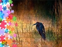 Puzzle tradycyjne Zwierzęta - Ptak