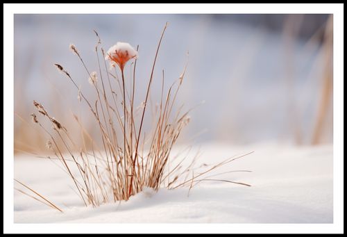 Plakat 91,5x60cm Zima w Detalach na Arena.pl