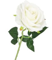 RÓŻA POJEDYNCZA ZAMSZOWA JAK ŻYWA 51CM RÓŻE