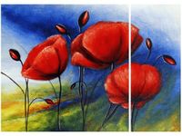 70X50CM MAKI POLU DWÓJ OBRAZ NIESYMETRYCZNY