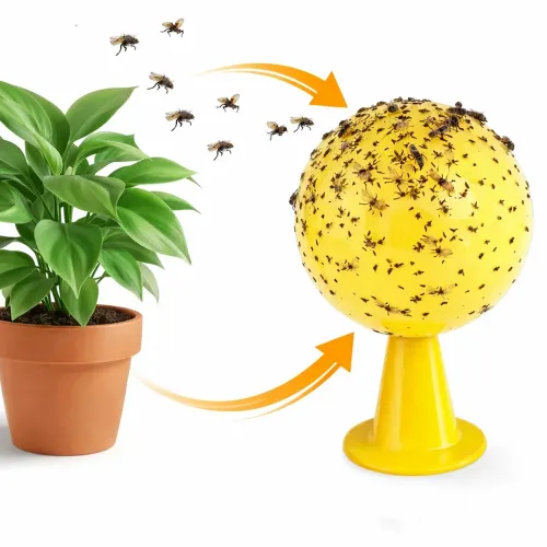 Lep na owady muchy kula na Arena.pl