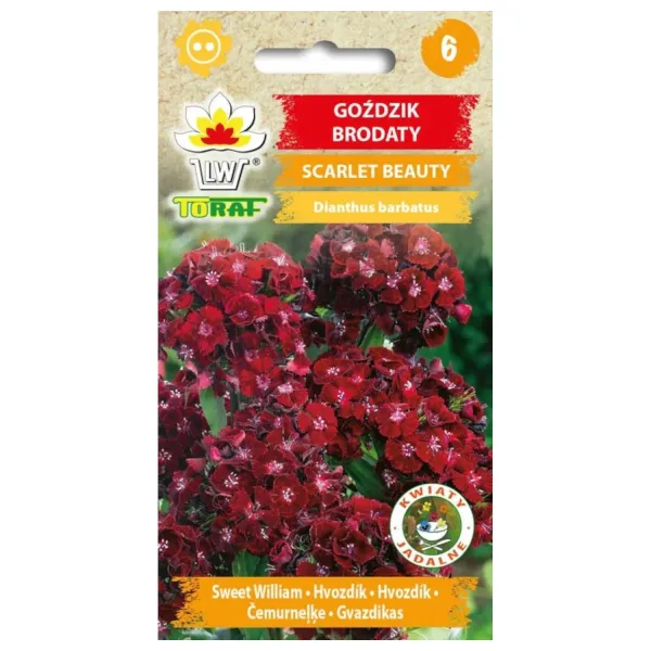 Goździk brodaty SCARLET BEAUTY 0,5g zdjęcie 1
