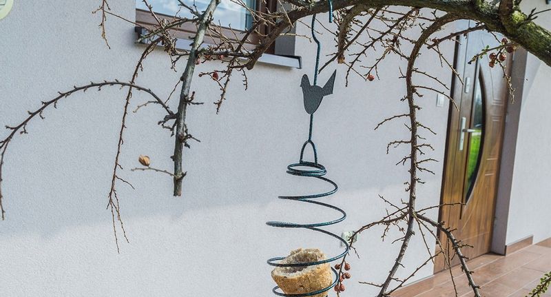 KARMNIK WISZĄCY KARMIDŁO NA POKARM DLA PTAKÓW 32cm zdjęcie 3