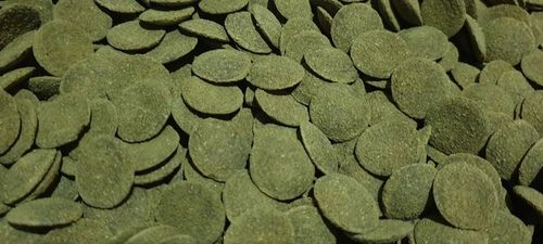TROPICAL BREEDER GREEN ALGAE WAFERS 1kg GLONOJADÓW na Arena.pl