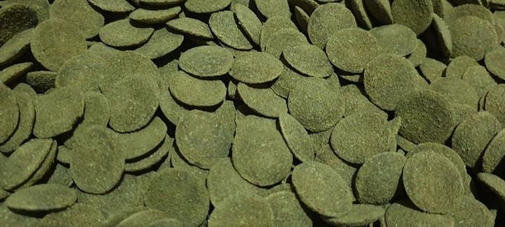 TROPICAL BREEDER GREEN ALGAE WAFERS 1kg GLONOJADÓW zdjęcie 2