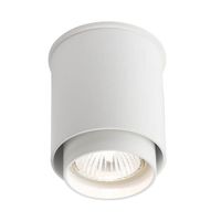 Tuba LAMPA sufitowa IGA 7014 Shilo natynkowy downlight spot metalowy biały