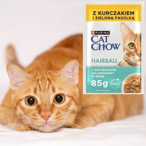 karma mokra dla kota purina cat chow hairball kurczak z zieloną fasolką 85g na Arena.pl