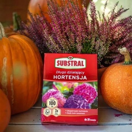 NAWÓZ DO HORTENSJI 100 DNI DŁUGODZIAŁAJĄCY 1kg zdjęcie 2