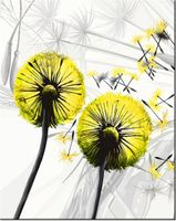 product-compare-58645599