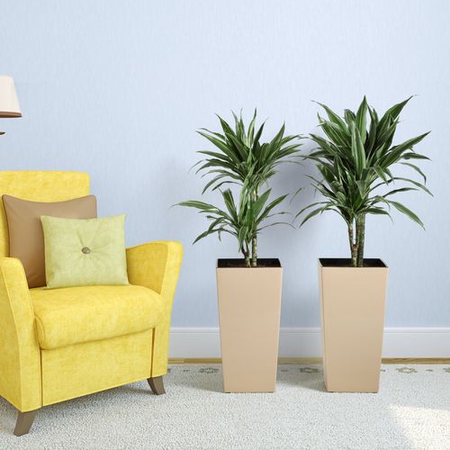 Doniczka wysoka z wkładem połysk Czerwony H 360 mm na Arena.pl