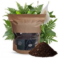 Ziemia Podłoże Bigos do Bananowca Skrzydłokwiatu Pachiry Urban Jungle 1L