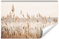 Fototapeta JEZIORO Trawy Trzcina Natura Rośliny 360cm x 240cm