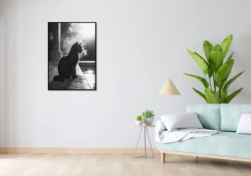 Plakat 64x90cm Kocia Przerwa na Arena.pl