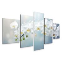 OBRAZ DO SALONU SYPIALNI BIAŁE KWIATY ORCHIDEA NATURA STORCZYK 3D 150x80