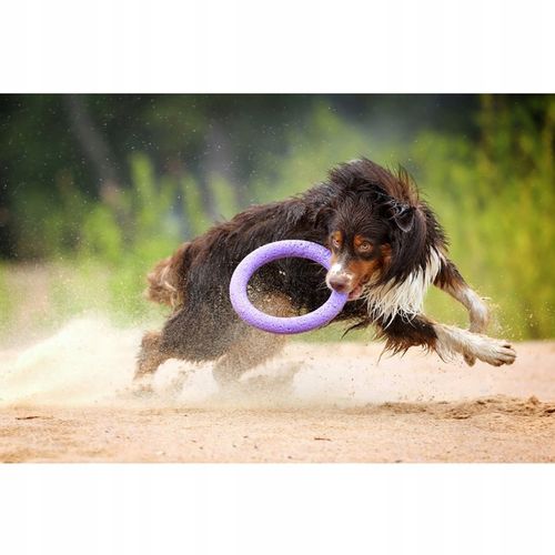 Szarpak dla psa PULLER Standard 28 cm - Zabawka 2 ringi dla dużych ras psów na Arena.pl