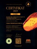 BRANSOLETA MĘSKA BURSZTYN 100 % SKÓRA STAL