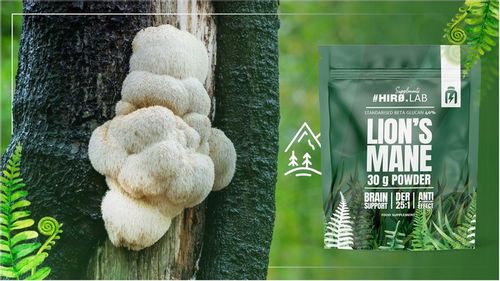 LION'S MANE SOPLÓWKA JEŻOWATA EKSTRAKT PAMIĘĆ 500mg DER 25:1 30g HIRO.LAB na Arena.pl