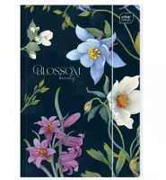 product-compare-60952389