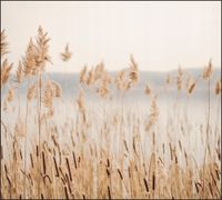 Tło do fotografii produktowej kulinarnej Flat Lay