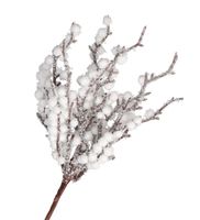 product-compare-61402982