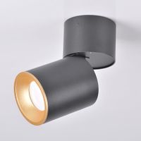 Metalowy spot salonowy ASTRA 314048 minimalistyczny plafon czarny