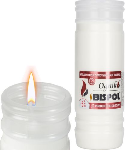 BISPOL - Wkład Zalewany Ognik WP5N - 18 szt. na Arena.pl