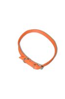 A-009 OBROŻA DLA PSA TAŚMA 16MM/30-41CM Kolor - Pomarańczowy