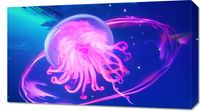 Obraz 70x40cm Neonowa Meduza