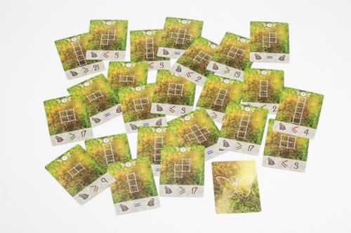 Gra Odfrunęło z wiatrem na Arena.pl