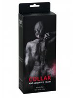 hearts collar and leash