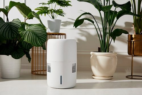 Nawilżacz ewaporacyjny KLARTA Humea White 300ML/H 3L 44M² cichy PZH na Arena.pl