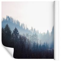 Fototapeta Las we Mgle Rośliny NATURA do Salonu 90x60